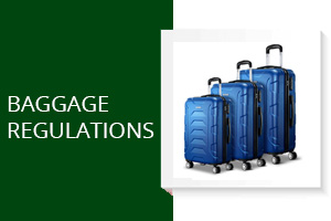 baggage1